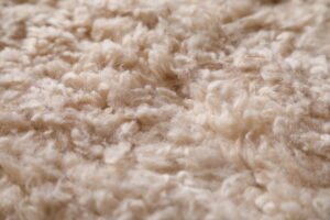 Moroccan Ivory rug