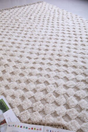Moroccan Checkered rug
