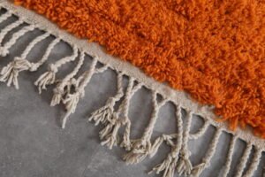Moroccan Orange rug