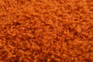 Moroccan Orange rug