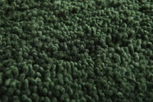 Moroccan Green rug