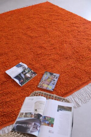 Moroccan Orange rug