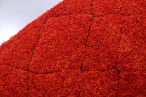Moroccan red rug